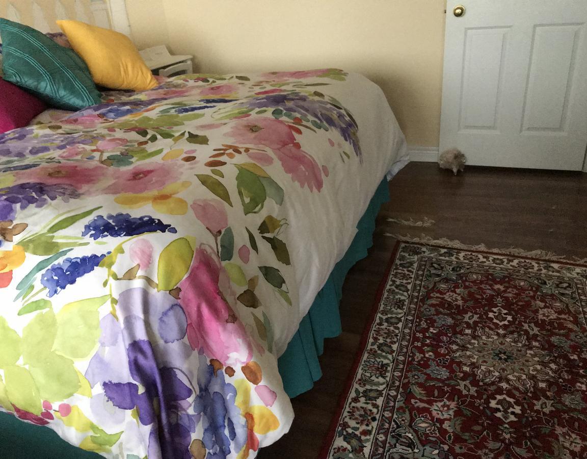 Golden Pathways Retreat B&B Питърбъро Екстериор снимка